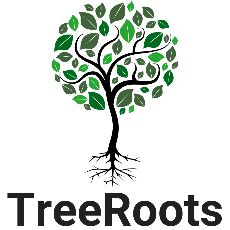 A Digital Strategist For Nonprofits - TreeRoots Nonprofits