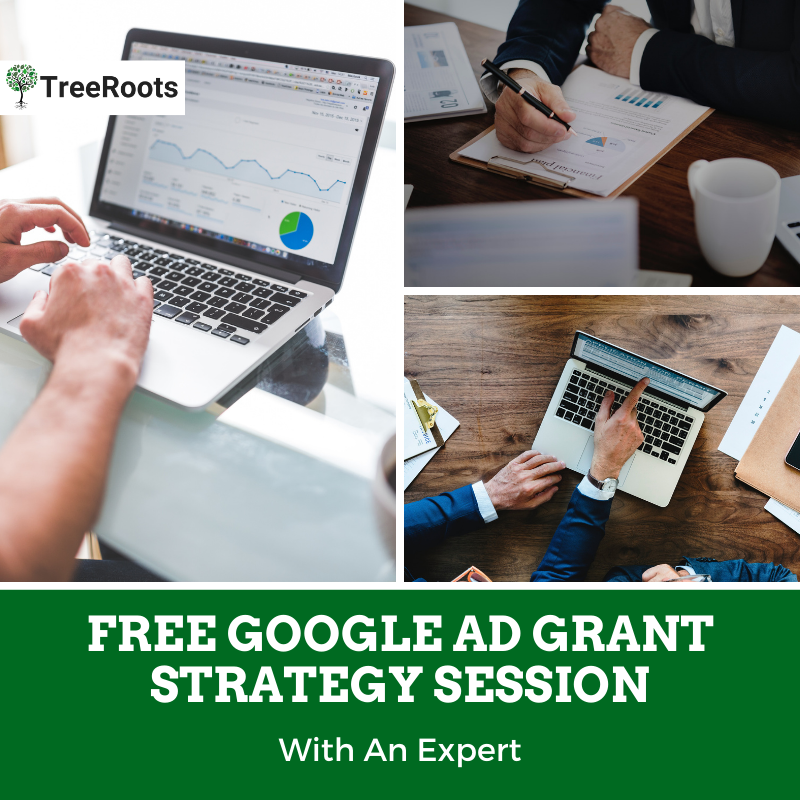 Nonprofits can sign up for a free Google Ad Grant strategy session with an expert.