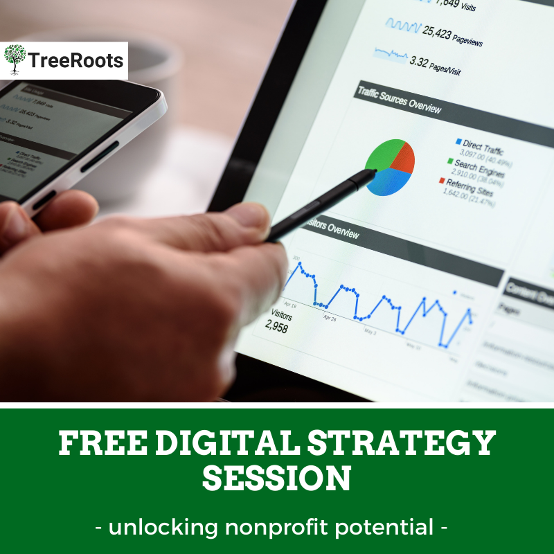 Nonprofits can sign up for a free website strategy session with an expert.